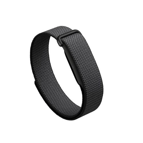 Google Fitbit Air
